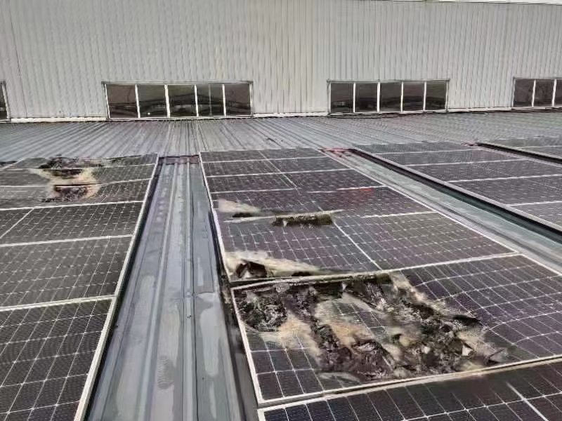 重磅提醒 ┃ 选装光伏，，，，，，，请坚决拒绝低价诱惑！切记。。。。。。。∧肟釉俦惶茁罚。。。。。。。。。。。。。。