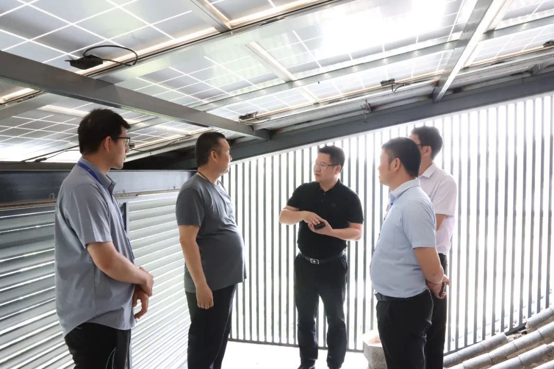 湖北365速发国际最新平台绿色能源有限公司